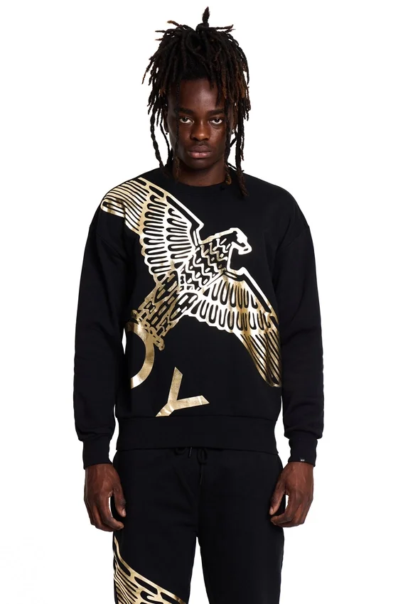 Boy Wingspan Sweatshirt